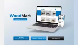 Read more about the article Woodmart Theme Setting Step by step
