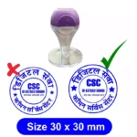 CSC Mohar Design Online with custom name, CSC ID, address, and professional rubber stamp layout for official documents